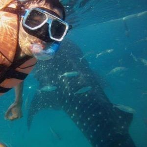 Meet your Posher, Wei